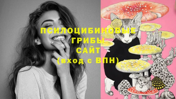 PSILOCYBIN Касимов