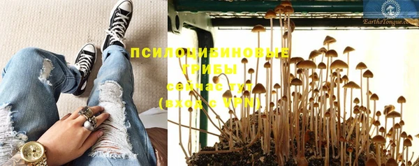 СК Карпинск