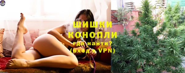 PSILOCYBIN Касимов