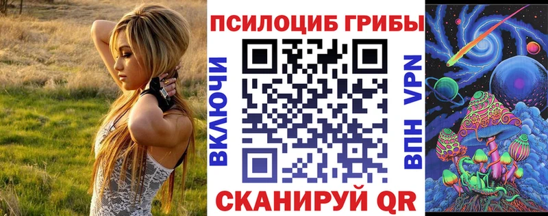 Купить  Бавлы  Псилоцибиновые грибы прущие грибы 