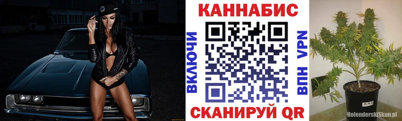 Марихуана семена Купить Бавлы